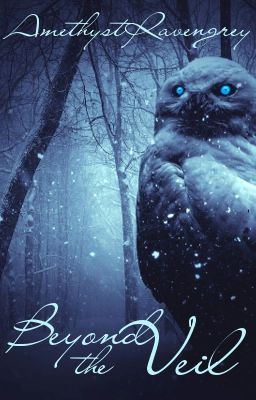 Icon of Beyond The Veil (A Paranormal Romance)