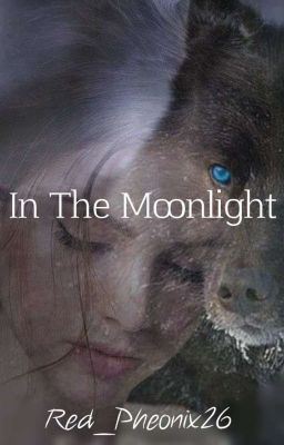 Icon of In the Moonlight [Completed]