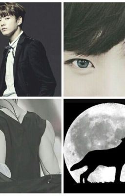 Icon of The Strongest Alpha's Mate/J.JK