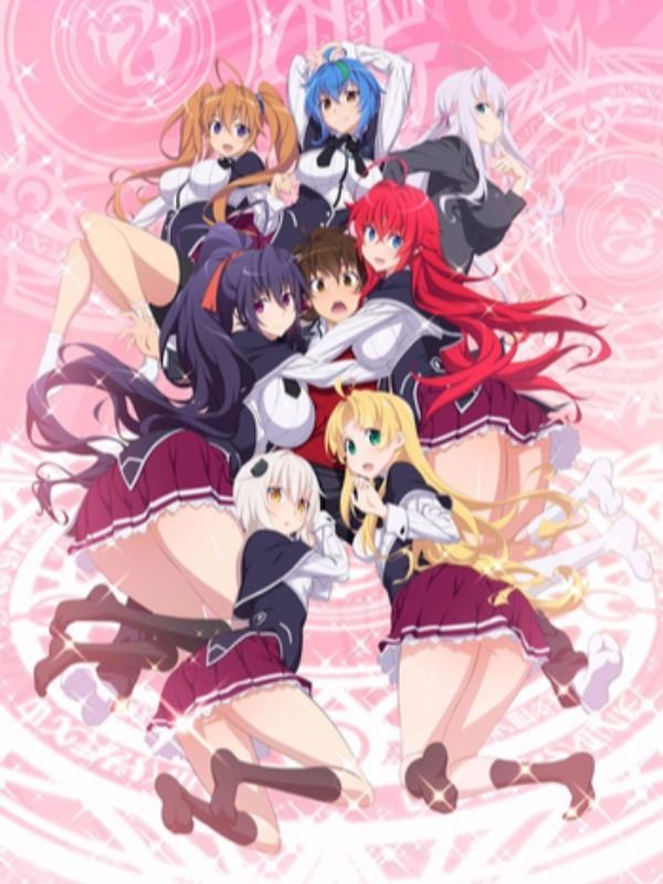 High School DxD (LN)
