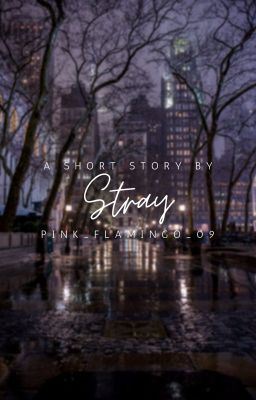 Icon of Stray | ✓
