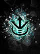 Icon of The Saiyan Sect