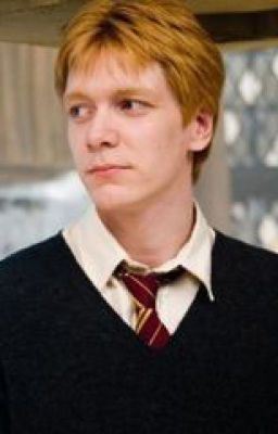 Icon of The Weasley's and The Ravenclaw (George Weasley Love Story)