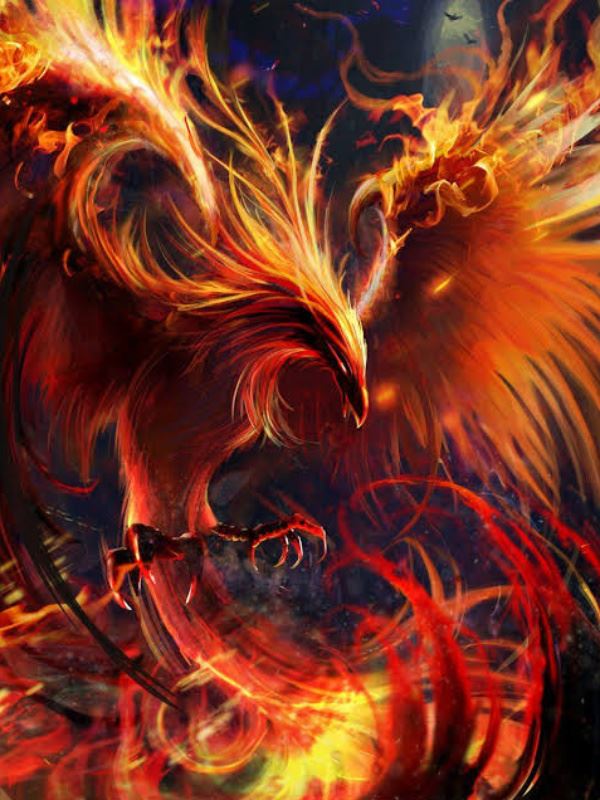 Phoenix in MHA