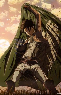 Icon of Levi x Reader Oneshots