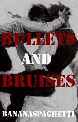 Icon of Bullets and Bruises