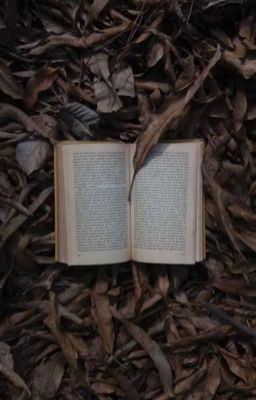Icon of BEST INDIAN BOOKS