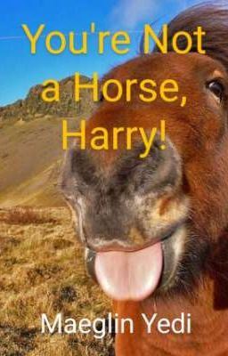Icon of You're Not a Horse, Harry!
