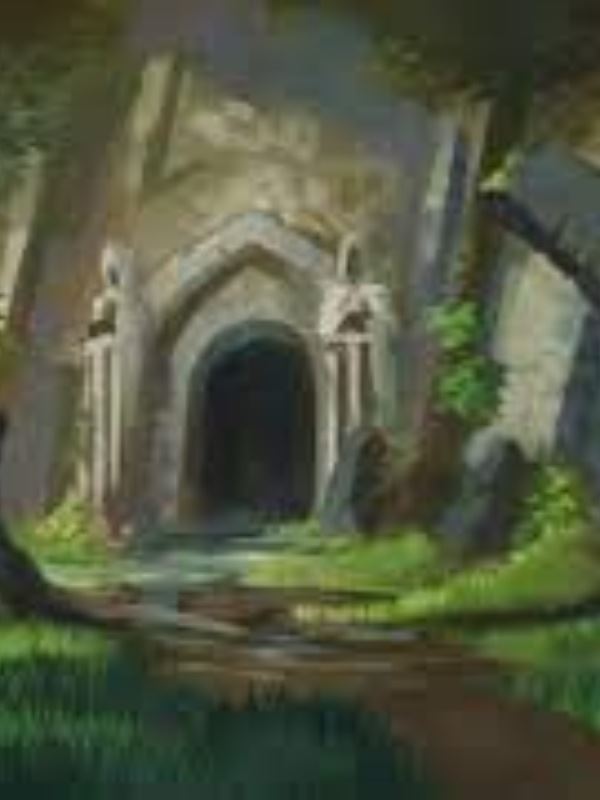 Cover of Dungeon Master Online