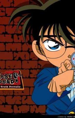 Icon of Detective Conan X Male Reader