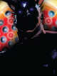 Icon of DC: GOTHAM'S REIGNER