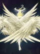 Icon of High School DXD : Amen