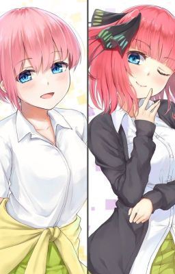 Icon of Ichika Nakano x Male reader x Nino Nakano
