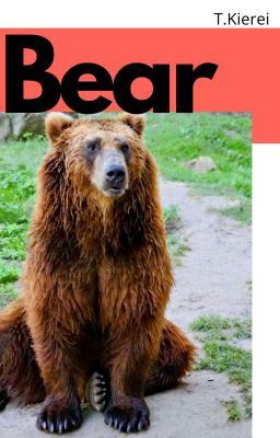 Icon of Bear-(mxm rever series 2)