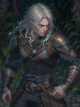 Icon of Witcher: The Half Elf