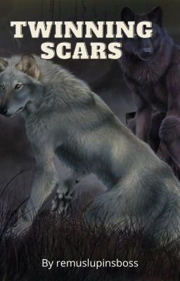 Icon of Twinning Scars - Remus Lupin x Reader [Book 1]