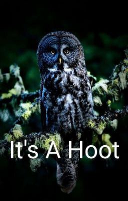 Icon of It's A Hoot (mxm)