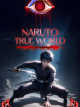 Icon of Naruto: True World