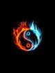 Icon of Naruto: The Hima clan
