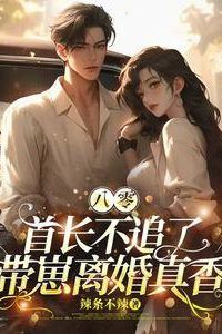Icon of In the 1980s the Commander Stops Pursuing her Taking the Child and Getting Divorced is Surprisingly Satisfying