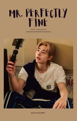 Icon of Mr. Perfectly Fine ⚊ Enhypen Sunghoon Text AU [ #5 ]