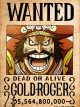 Icon of One Piece : Roger Is My Vice Captain