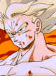Icon of Nightmare Mode (DBZ Gamer!SI)