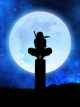 Icon of Ninja War God: Reborn with SSS Rank Cheats