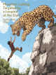 Icon of Mountain Looting: Targeted by a Leopard at the Start
