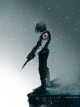 Icon of DC: Winter Soldier