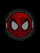 Icon of DC: The Amazing Spider-Man