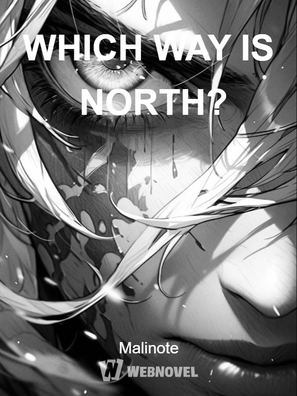 Icon of WHICH WAY IS NORTH?