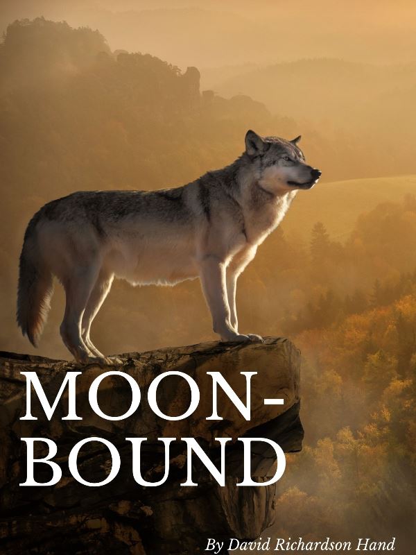 Icon of Moon bound