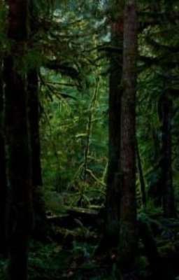 Icon of We Are Not Alone Here | Creepypasta