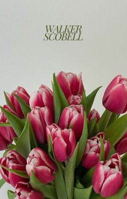 Icon of Walker Scobell