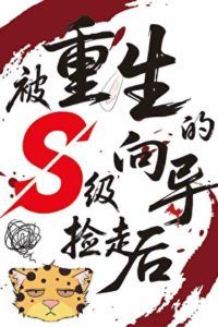 Icon of After Being Picked Up by the Reborn S-Rank Guide