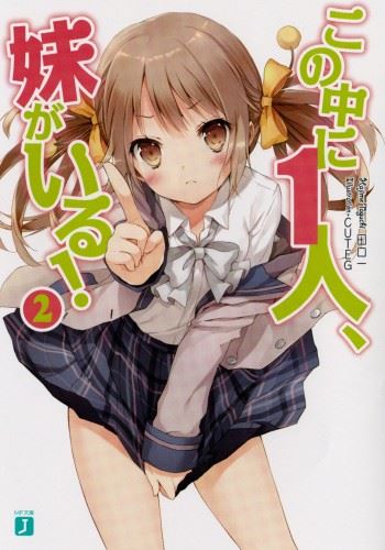 Icon of Kono Naka ni Hitori, Imouto ga Iru!