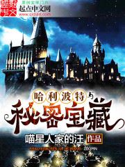 Icon of Harry Potter and the Secret Treasures