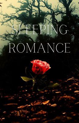 Icon of Sleeping Romance (GxG)