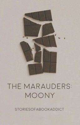Icon of The Marauders: Moony