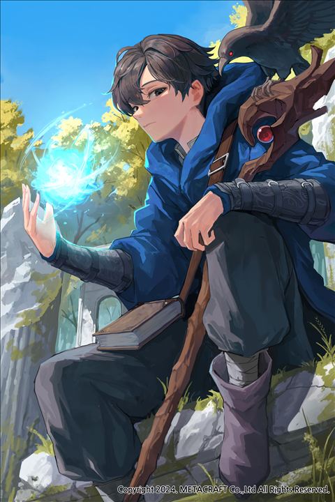 Icon of Became a Medieval Fantasy Wizard