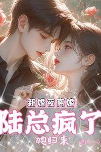 Icon of Divorce on the Wedding Night, She Returns, and Mr. Lu Goes Mad