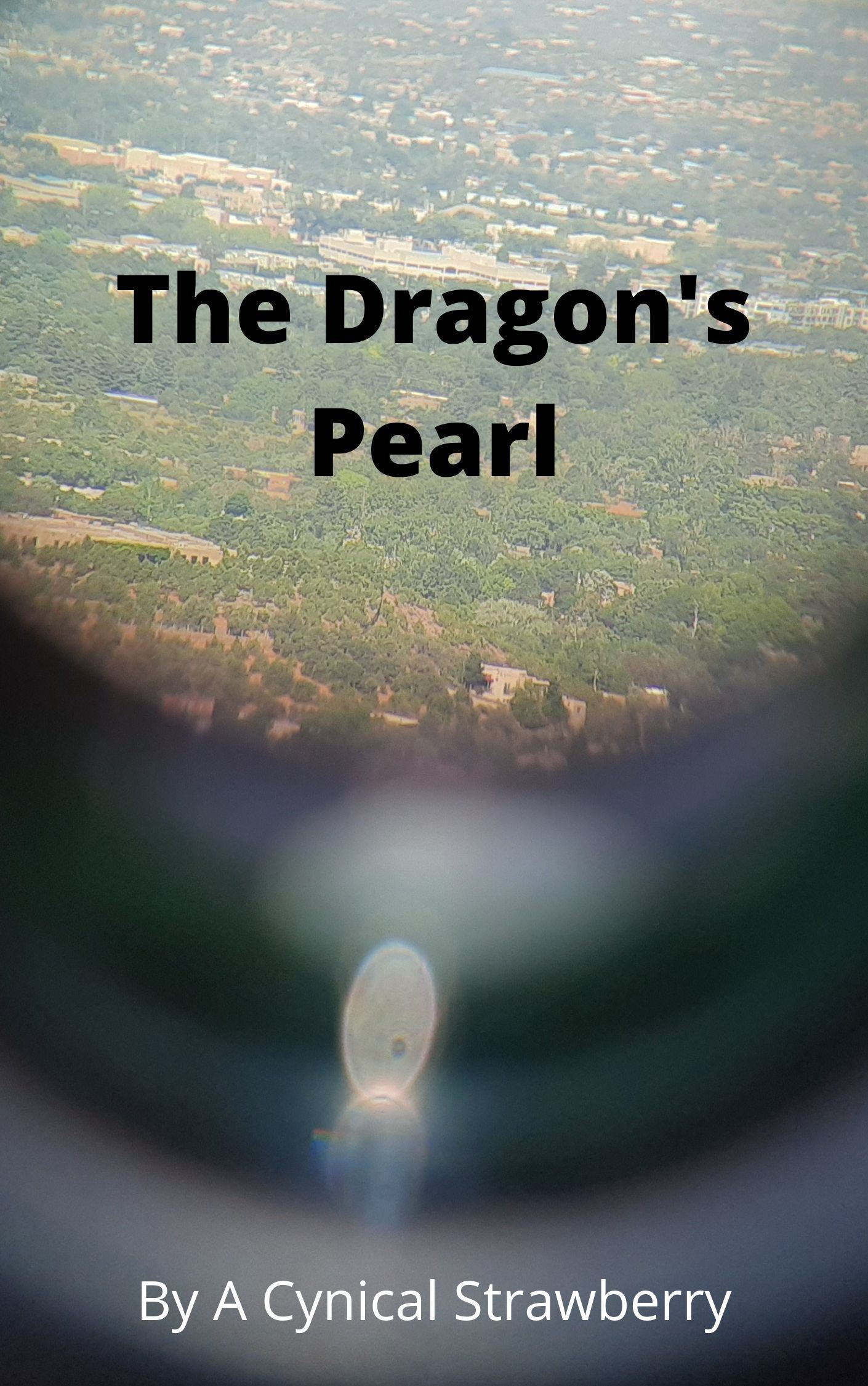 Icon of The Dragon’s Pearl