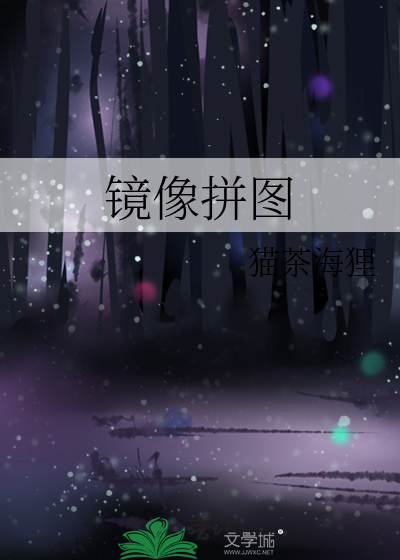 Icon of Mirror Puzzle