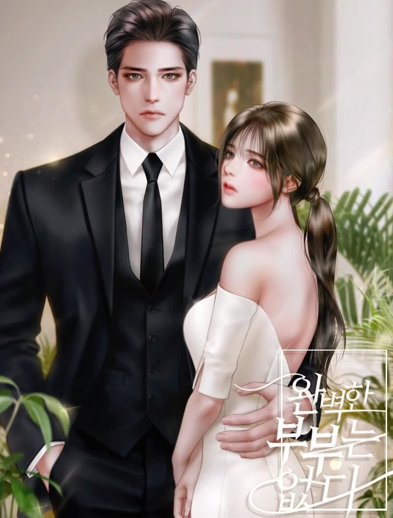 Icon of There is No Perfect Couple