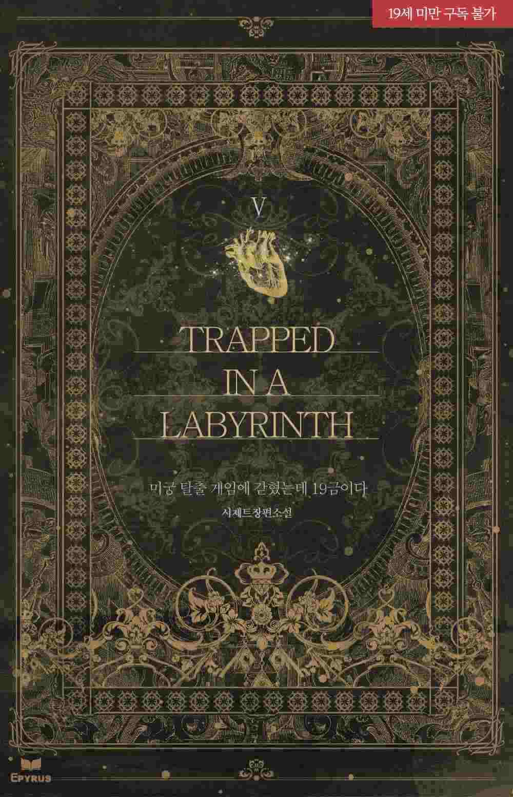 Icon of Trapped in a Labyrinth