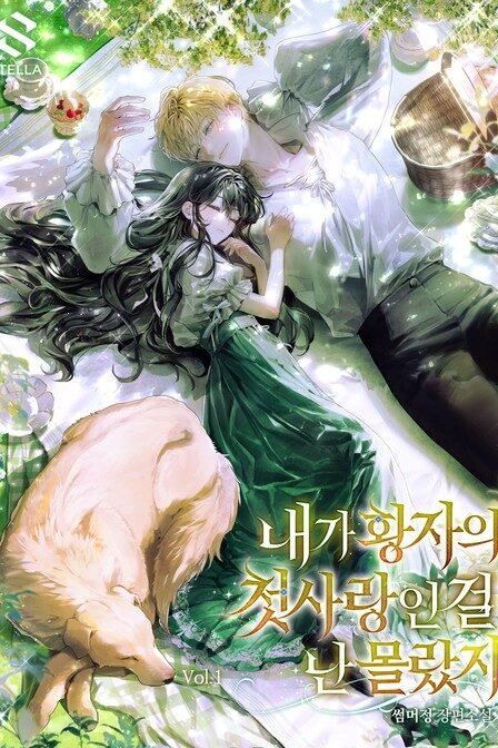 Icon of I Didn’t Know I Was the Prince’s First Love