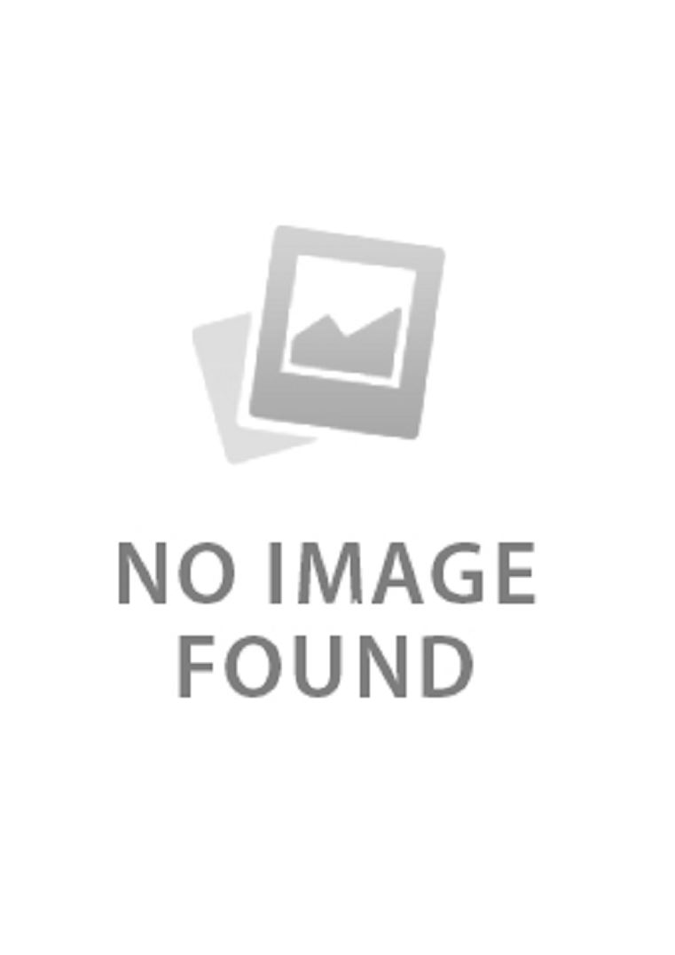 Icon of Invincible Sword