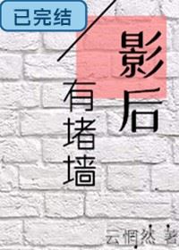 Icon of There is a Wall Behind the Shadow